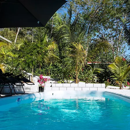 House In The Palm Forest Puerto Carrillo Exterior photo