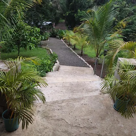 House In The Palm Forest Puerto Carrillo Exterior photo