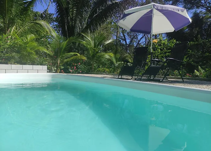 House In The Palm Forest