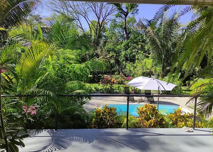 House In The Palm Forest