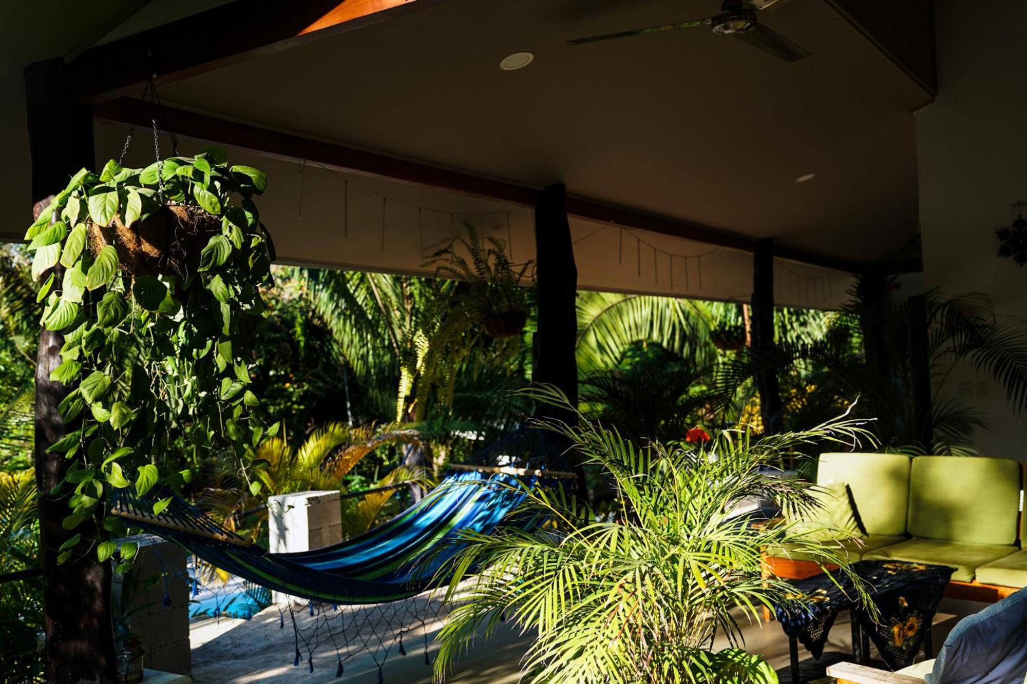 House In The Palm Forest Puerto Carrillo
