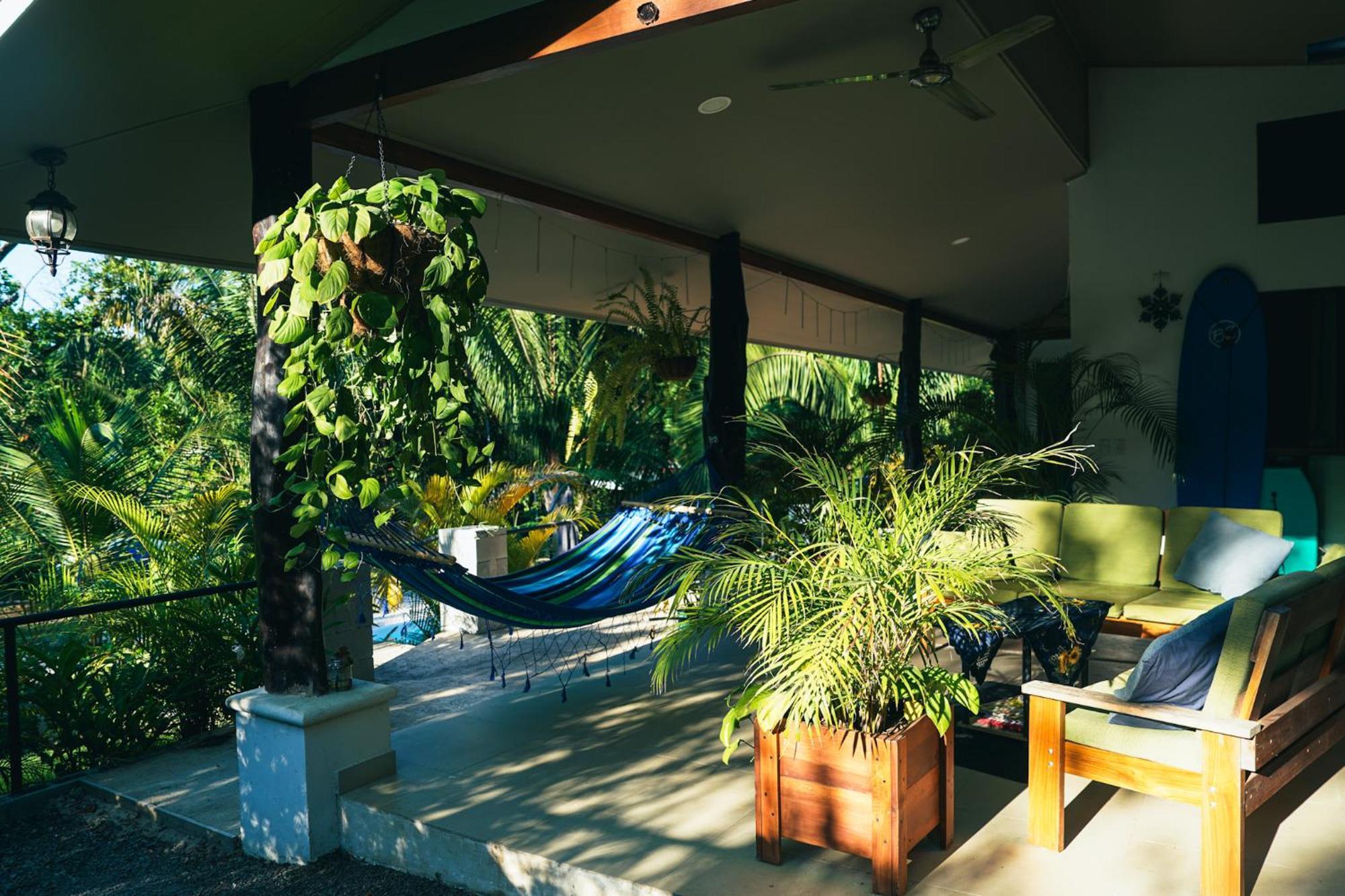House In The Palm Forest *