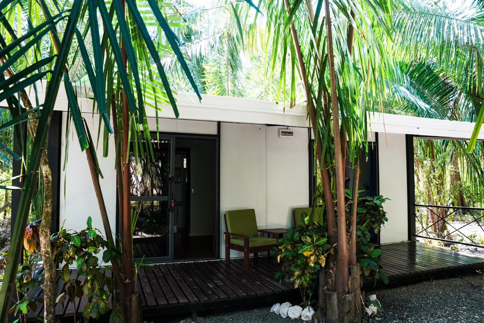 House In The Palm Forest *