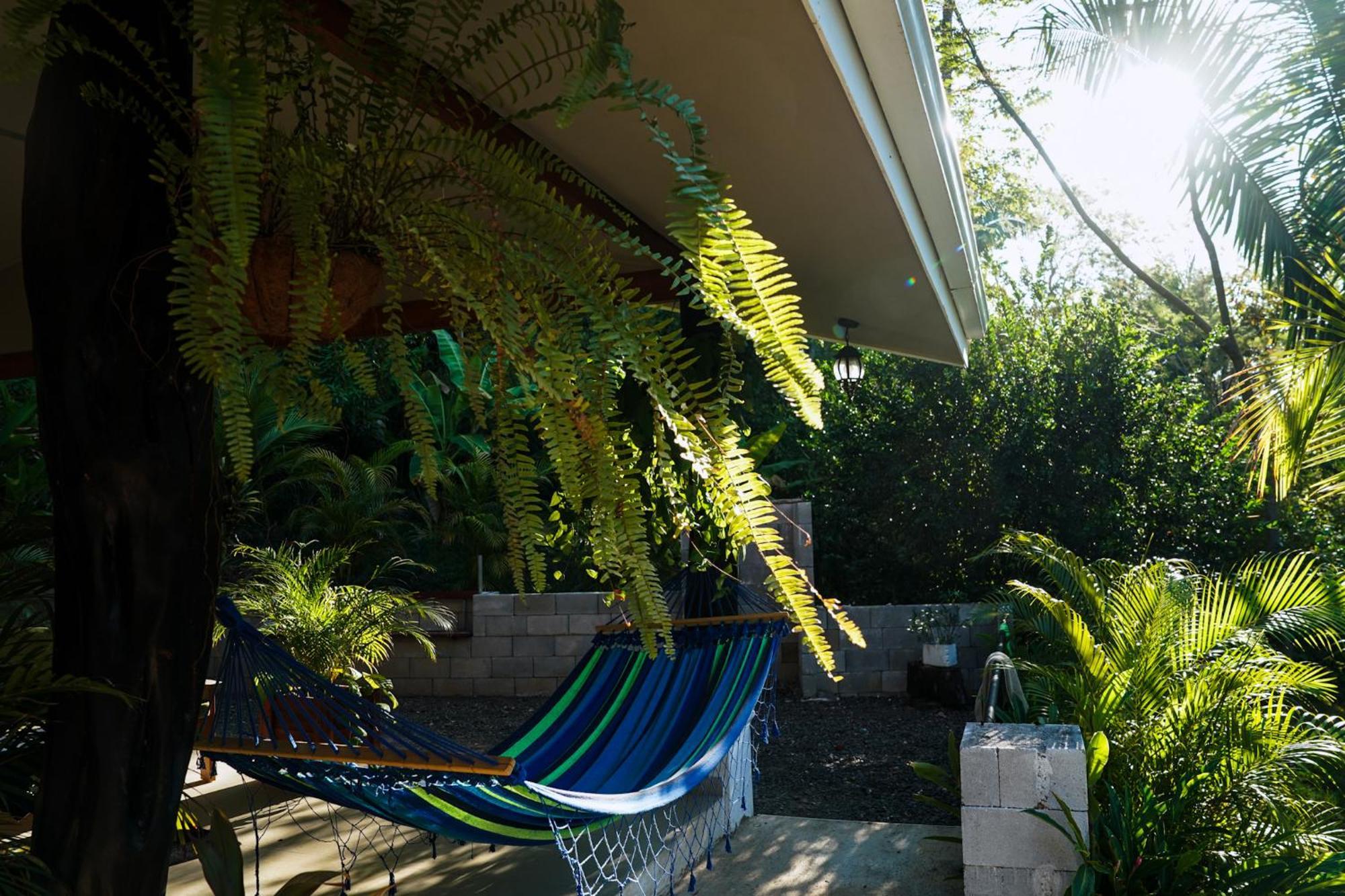 House In The Palm Forest Homestay *