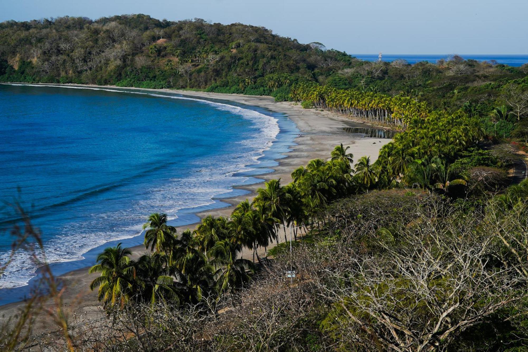 House In The Palm Forest * Puerto Carrillo