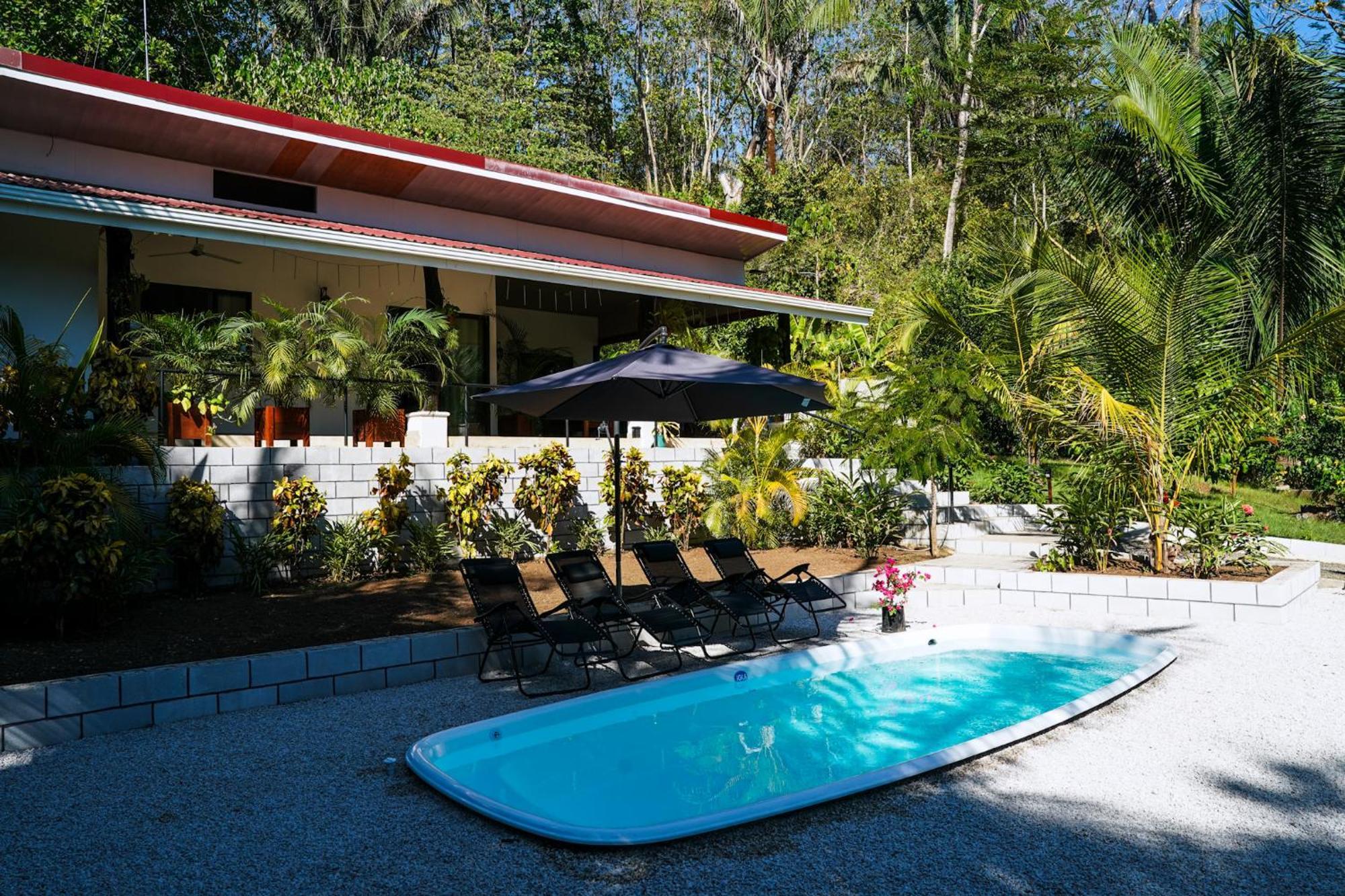 Homestay House In The Palm Forest