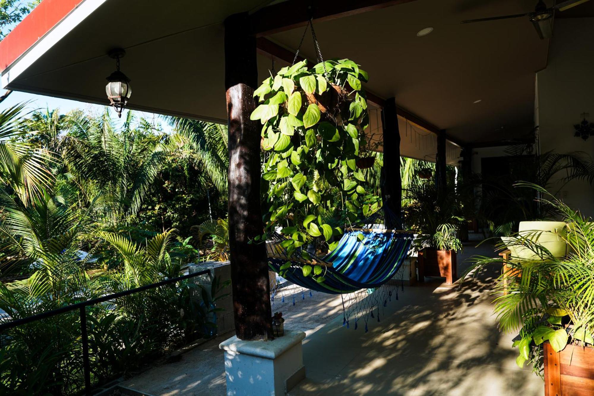 House In The Palm Forest Homestay Puerto Carrillo