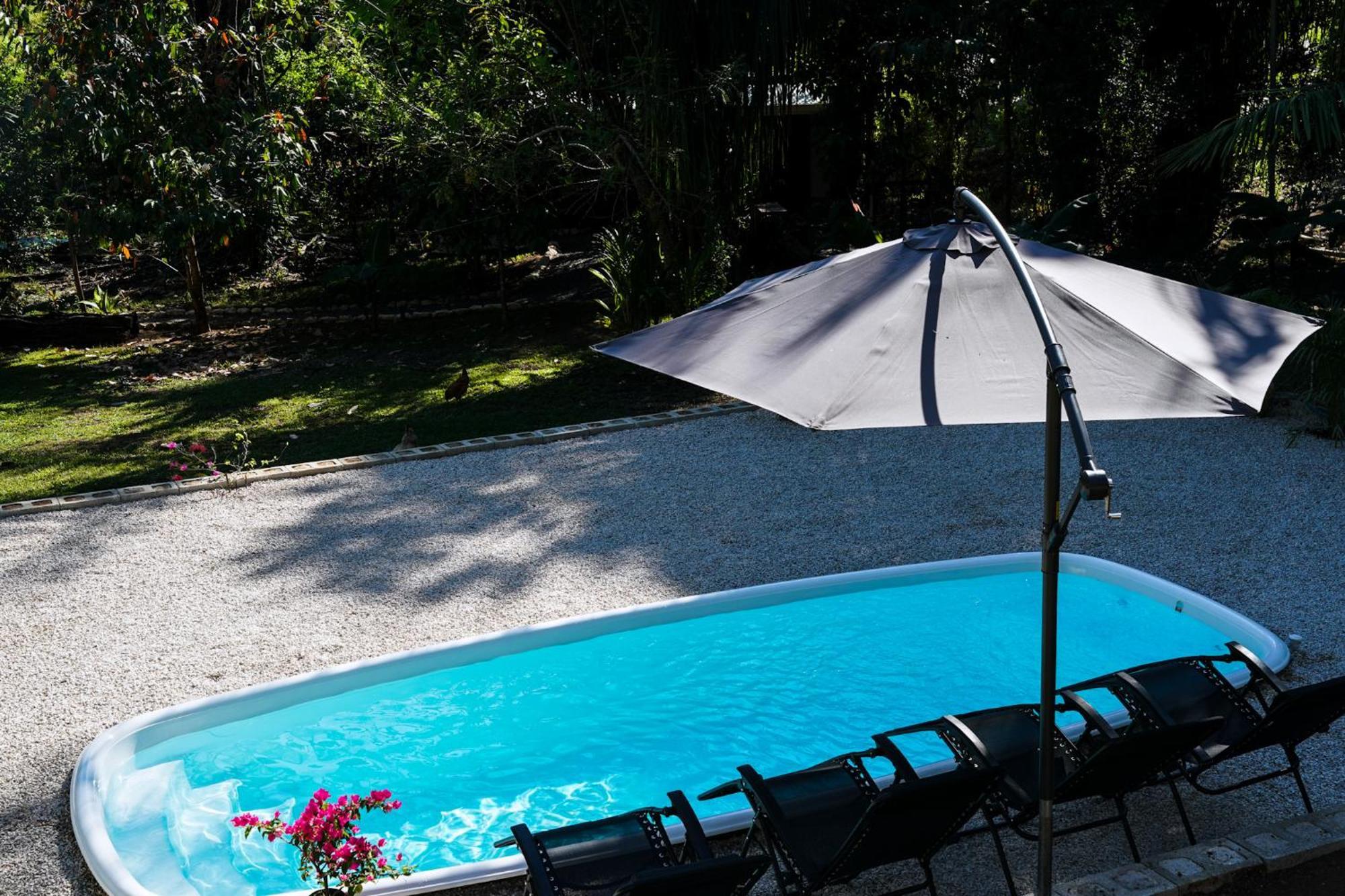 House In The Palm Forest Homestay Puerto Carrillo