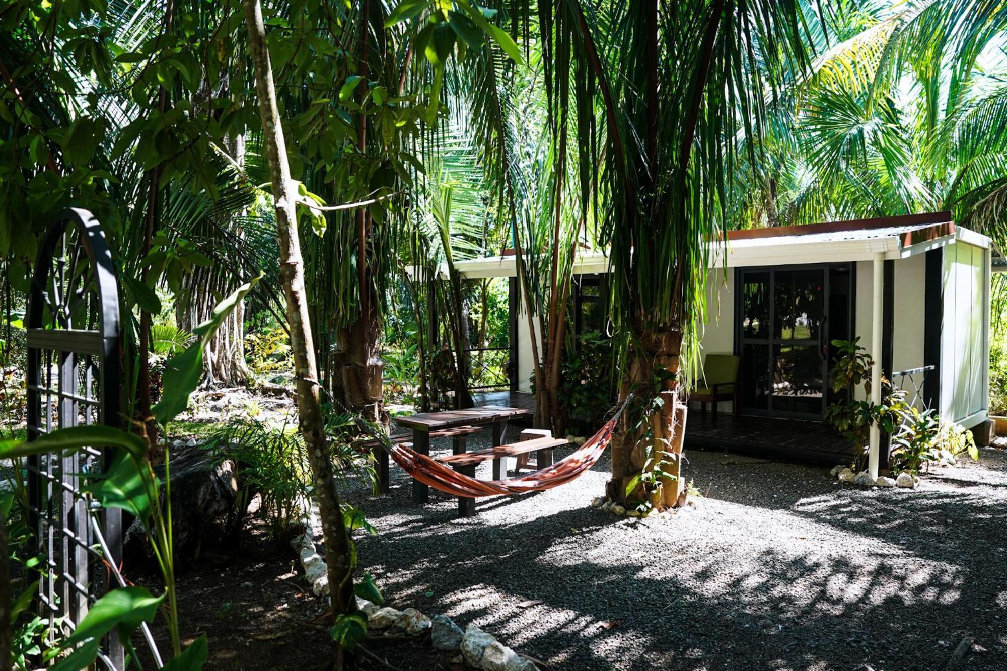 Homestay House In The Palm Forest