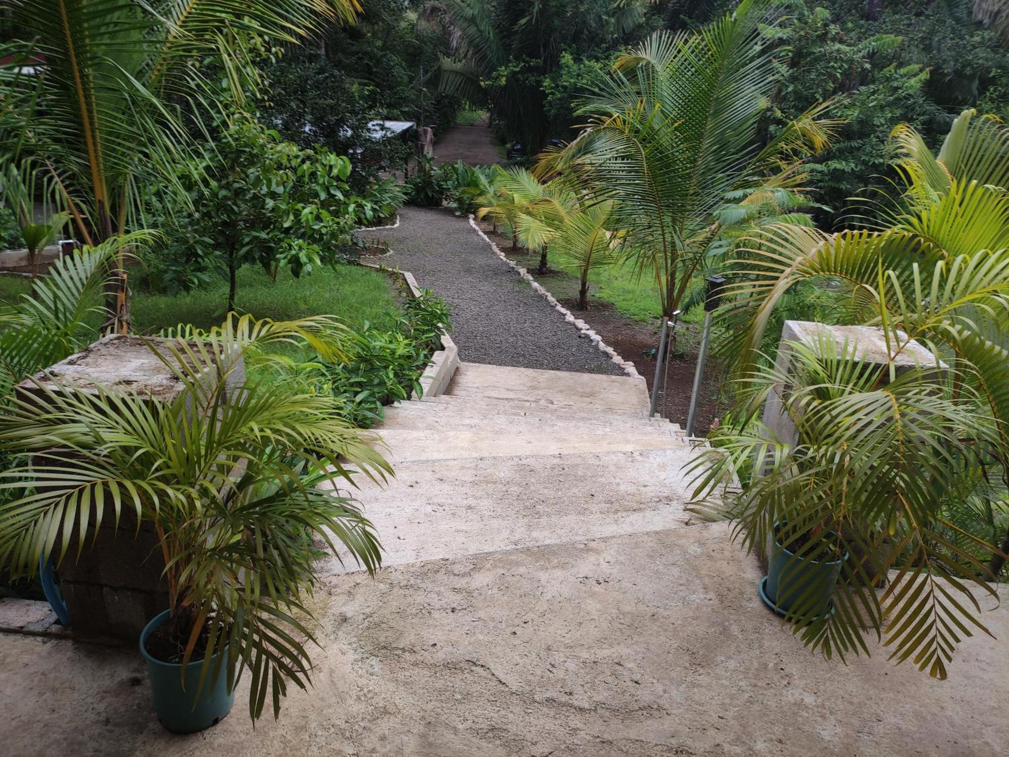 House In The Palm Forest Homestay Puerto Carrillo