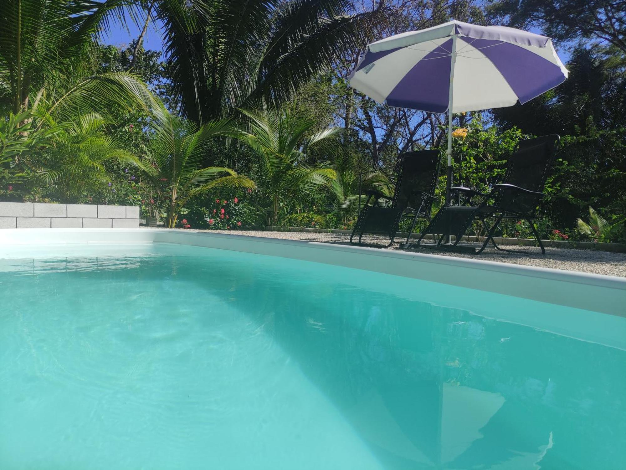 House In The Palm Forest Homestay *