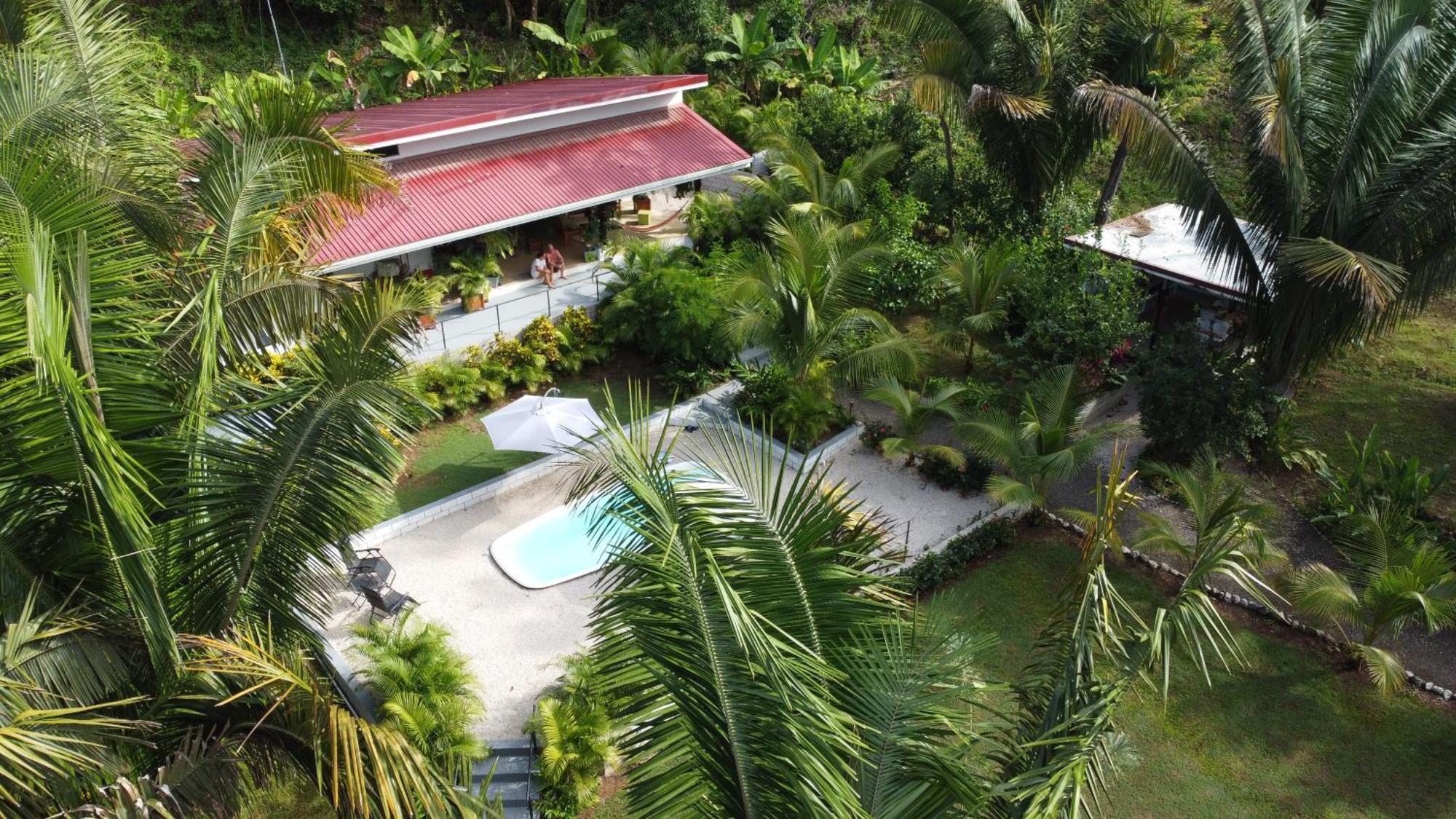 House In The Palm Forest *