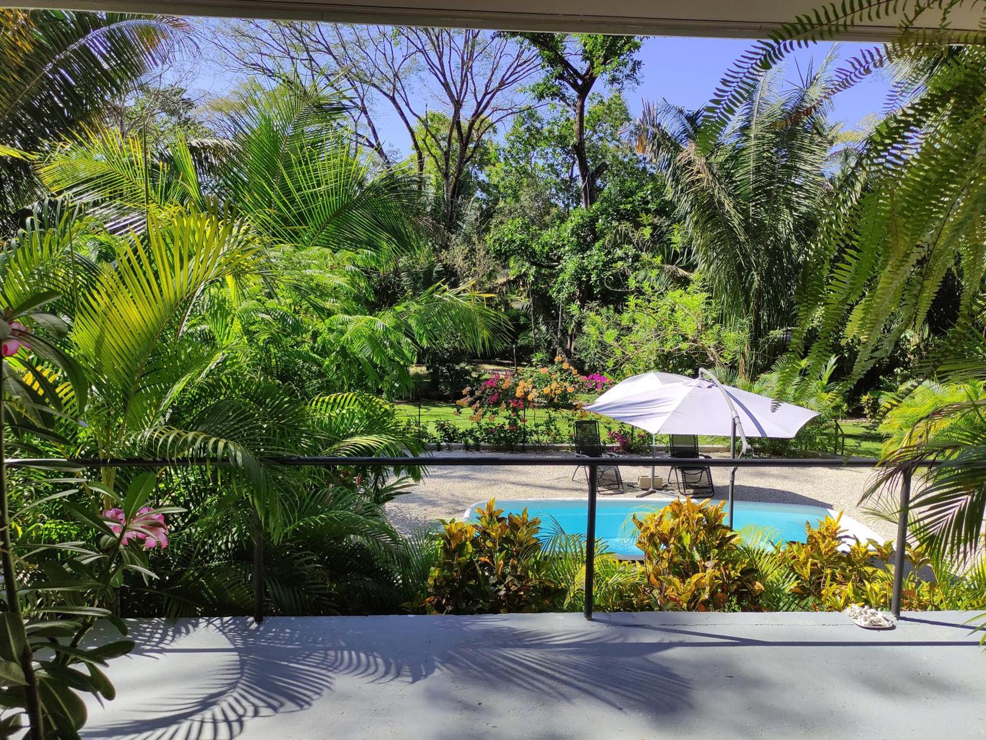 Homestay House In The Palm Forest *